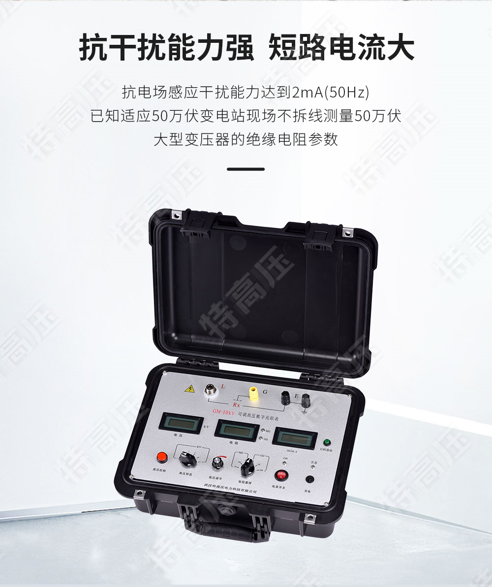 GM-10kV 可調高壓數(shù)字兆歐表(圖2)