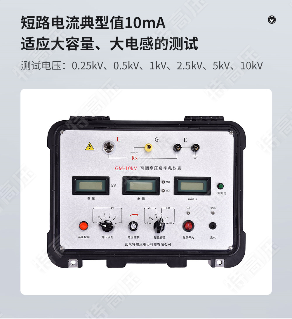 GM-10kV 可調高壓數(shù)字兆歐表(圖3)