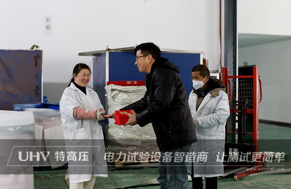 開業(yè)大吉！特高壓電力開啟全新征程(圖2)