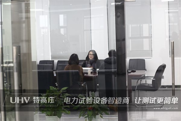 喜迎貴客臨門，浙江客戶來訪特高壓電力！(圖1)