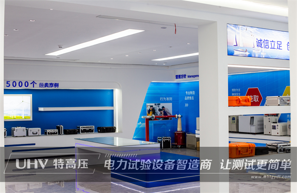 特高壓技術(shù)專員視頻指導(dǎo)，助力客戶現(xiàn)場(chǎng)試驗(yàn)！(圖6)